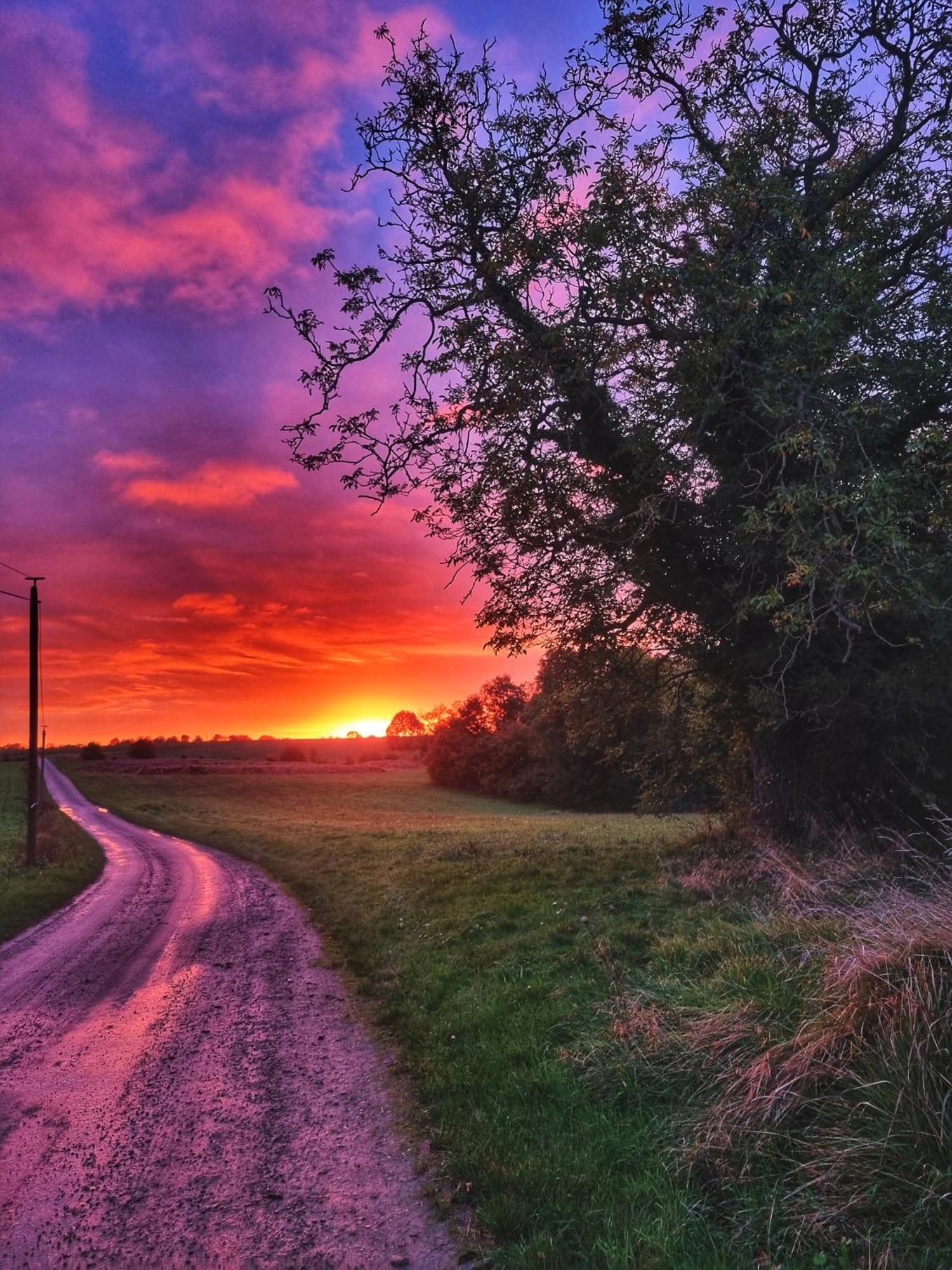 Gite Du Grand Frene Orrouy Buitenkant foto