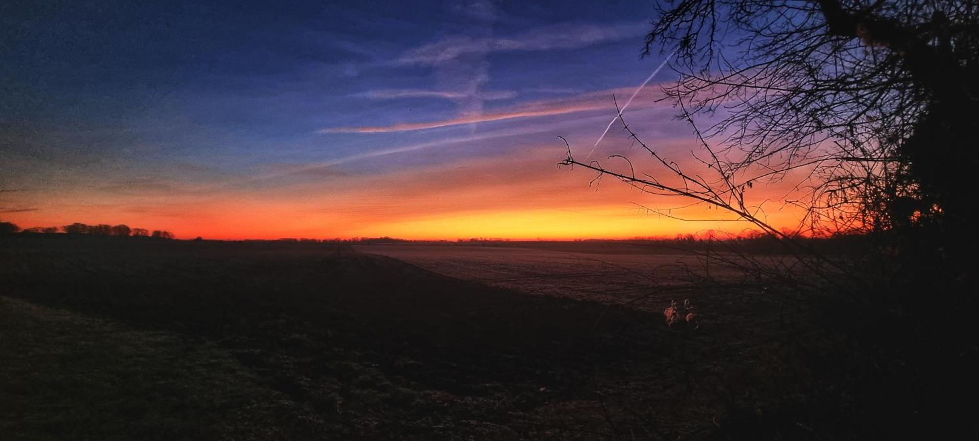 Gite Du Grand Frene Orrouy Buitenkant foto