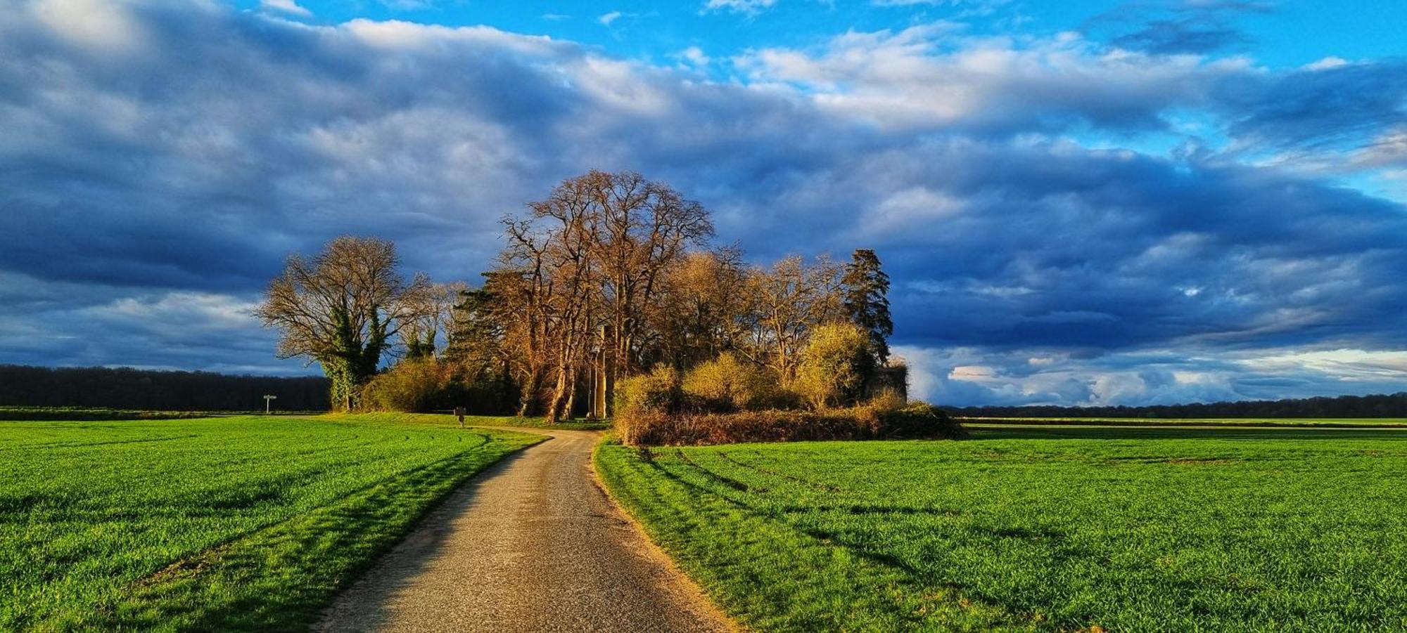 Gite Du Grand Frene Orrouy Buitenkant foto