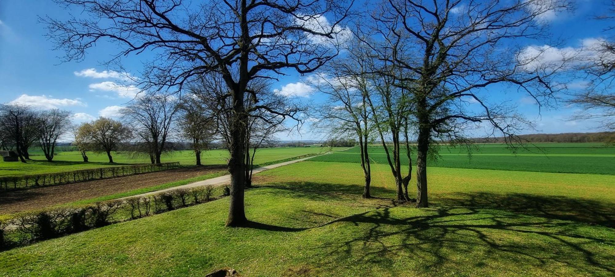 Gite Du Grand Frene Orrouy Buitenkant foto