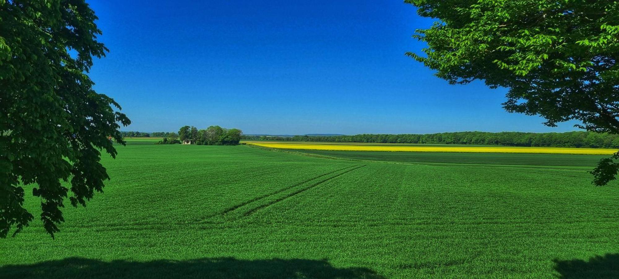 Gite Du Grand Frene Orrouy Buitenkant foto